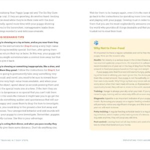 Puppy Training in 7 Easy Steps: Everything You Need to Know to Raise the Perfect Dog