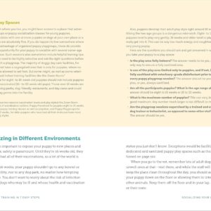 Puppy Training in 7 Easy Steps: Everything You Need to Know to Raise the Perfect Dog