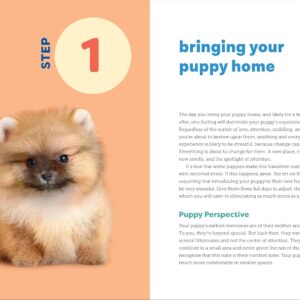Puppy Training in 7 Easy Steps: Everything You Need to Know to Raise the Perfect Dog