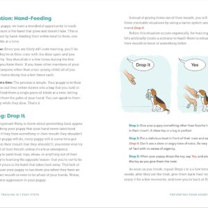 Puppy Training in 7 Easy Steps: Everything You Need to Know to Raise the Perfect Dog